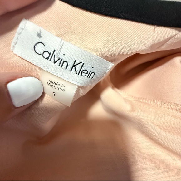 Calvin Klein Peach/Pink Sheath Dress with Bell Sleeves - Picture 6 of 9